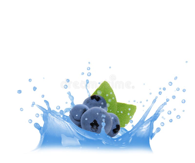 909 Blueberry Water Splash Stock Photos Free & RoyaltyFree Stock