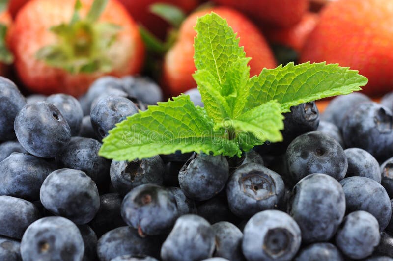 Blueberry and strawberry stock image. Image of vitamin 34309603