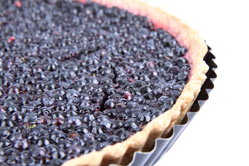 Blueberry Tart