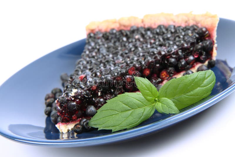 Blueberry Tart