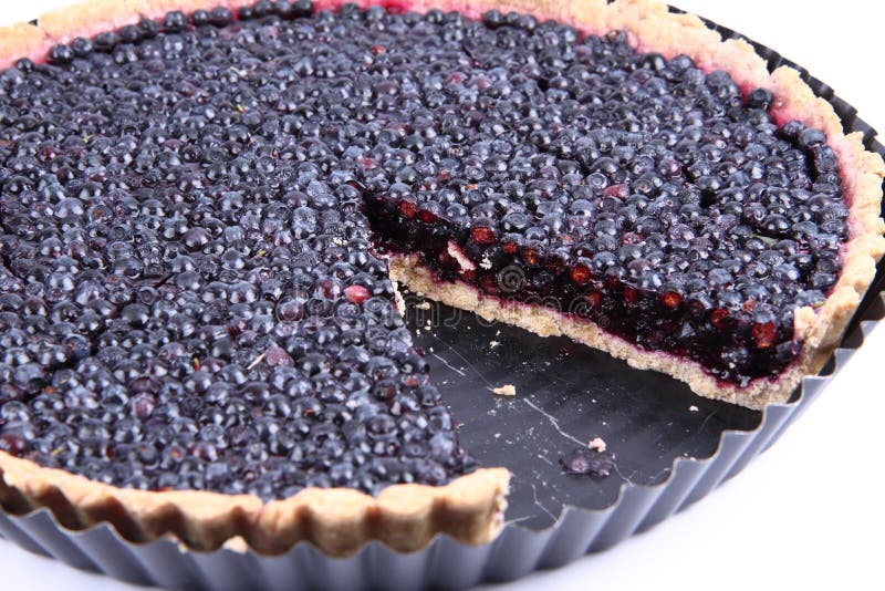 Blueberry Tart