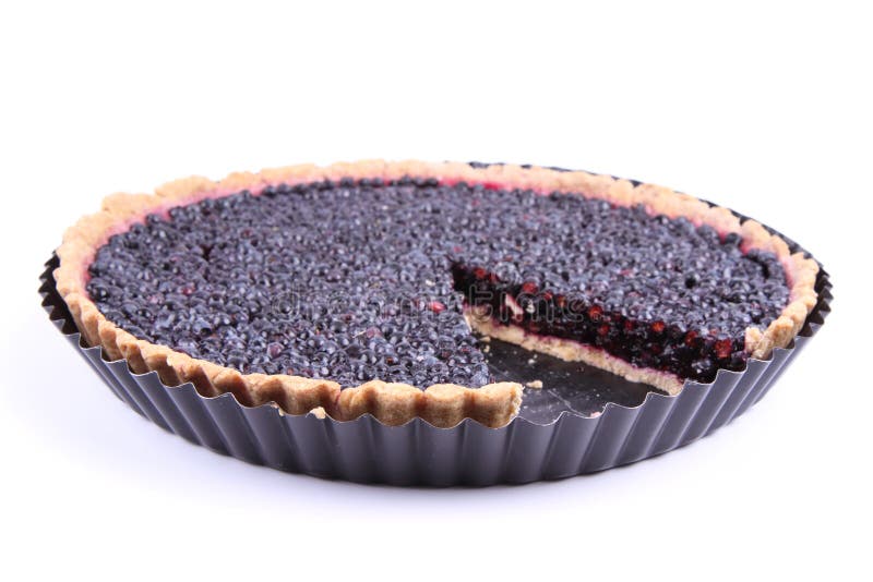 Blueberry Tart