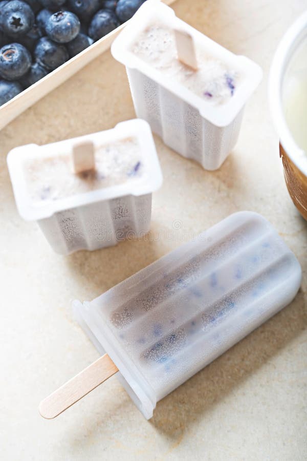 Blueberry Yoghurt Ice Cream Popsicle Stock Image Image of light