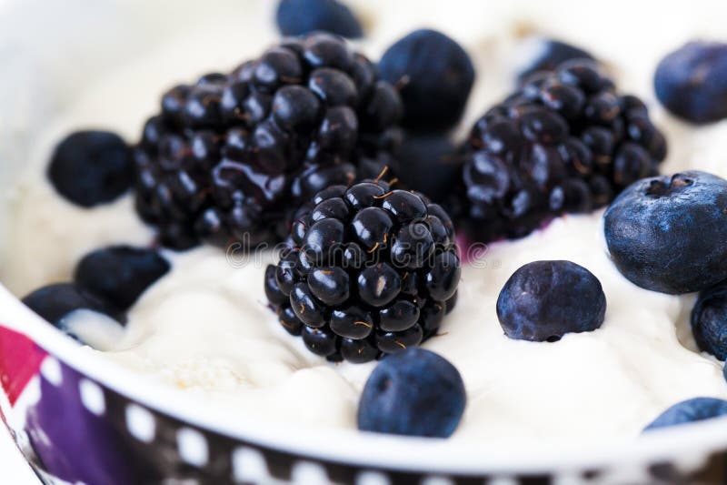 Blueberry with yogurt