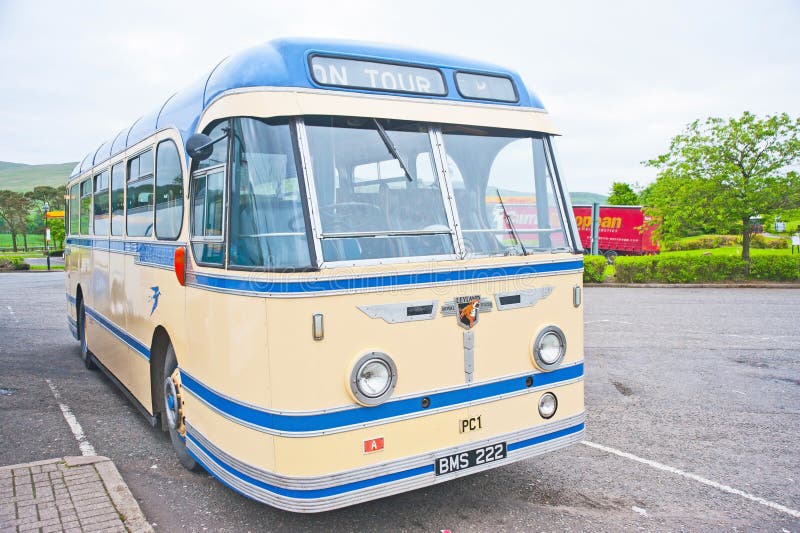 bluebird tour bus