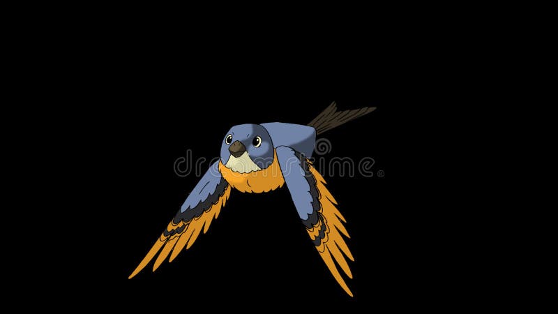 Bluebird Flies Front View. Animated Footage with Alpha Channel Stock Video  - Video of flying, front: 65005763