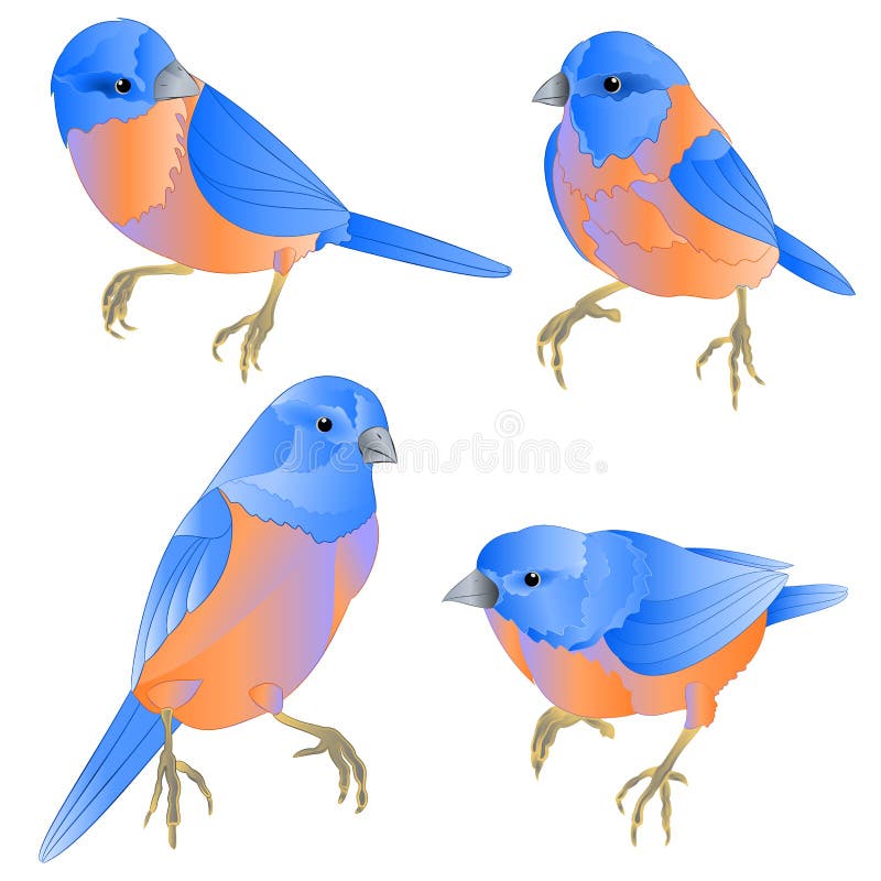 Two Bluebirds Watercolor Birds Winter Christmas Illustration Hand Drawn ...