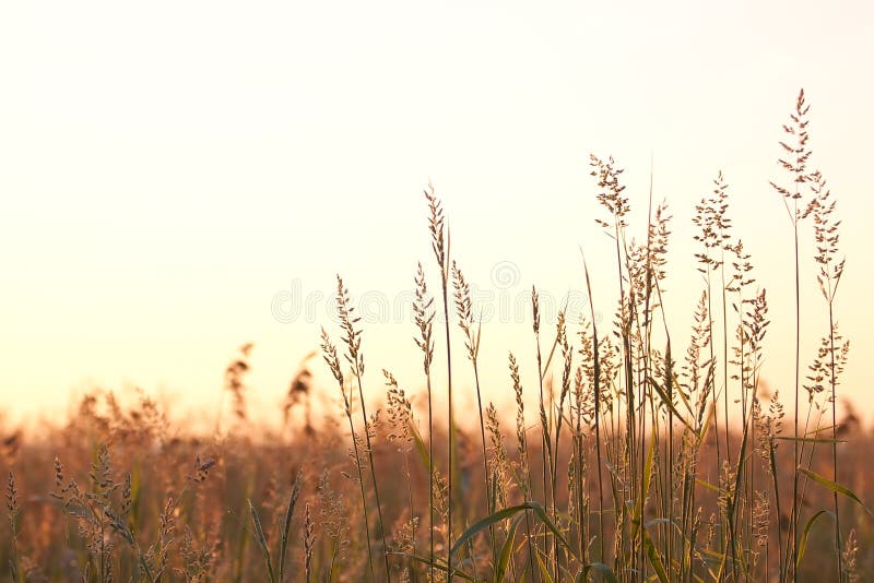 Casa de madera vieja foto de archivo. Imagen de edificio - 23887640