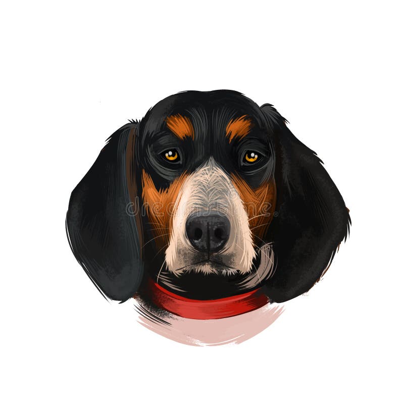 are bluetick coonhounds intelligent dogs