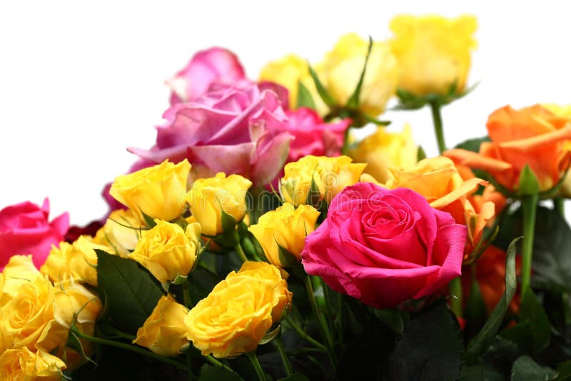 Blumen stockfoto