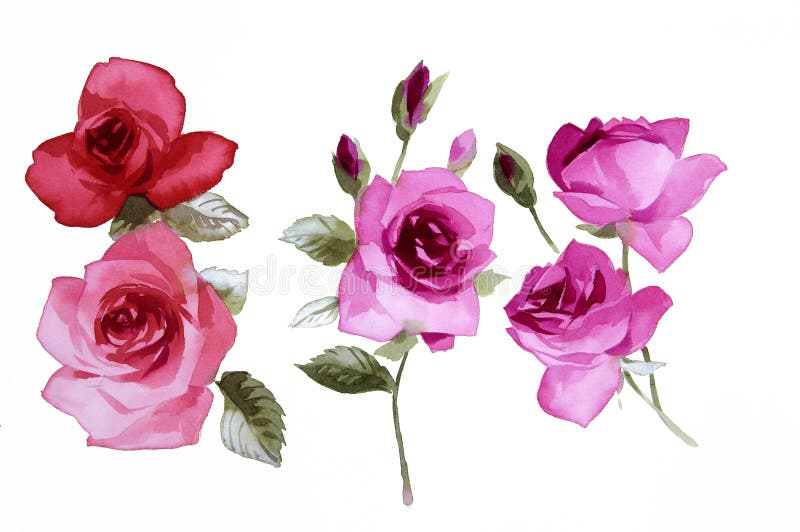 Blumen stock abbildung