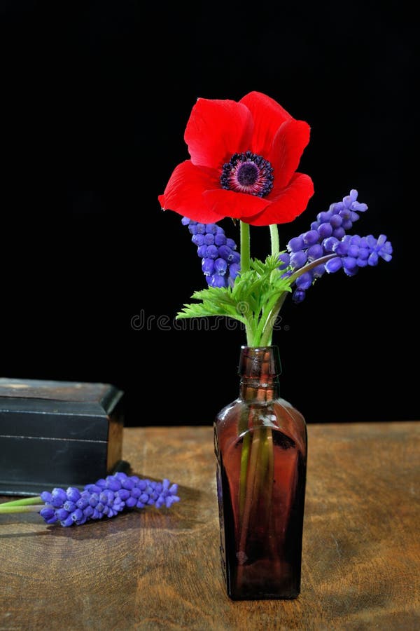Blumen lizenzfreie stockbilder