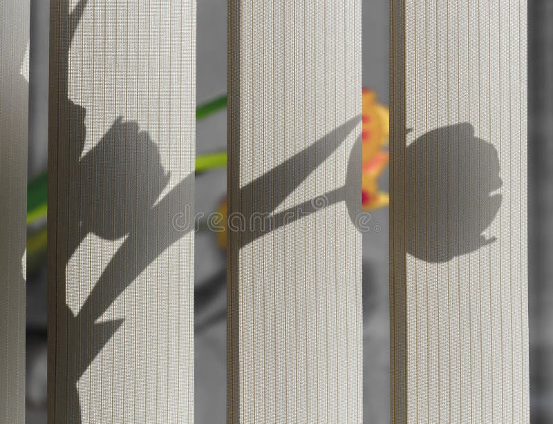 Blumen auf dem Windowsill stockfoto Blumen auf dem Windowsill stockfoto