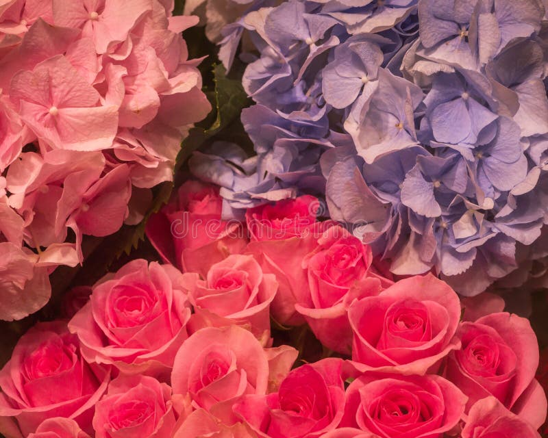 Blumen des rosa Rosenblumenstraußes und der Pastellfarbe lizenzfreies stockbild Blumen des rosa Rosenblumenstraußes und der Pastellfarbe lizenzfreies stockbild