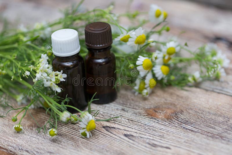 Blumen des ätherischen Öls und der Kamille lizenzfreie stockfotografie Blumen des ätherischen Öls und der Kamille lizenzfreie stockfotografie