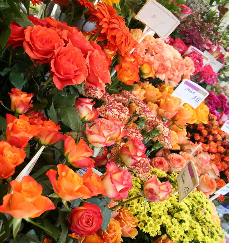 Blumen Markt stockfoto. Bild von auszug, botanik, blumen 2221066