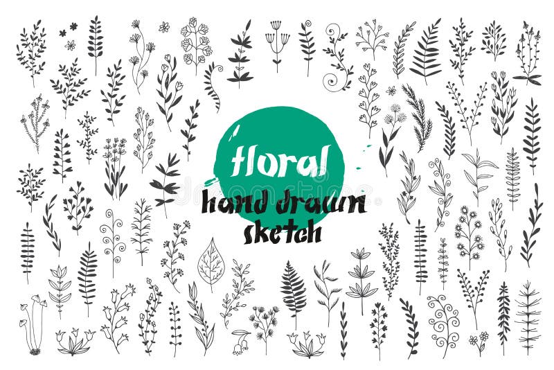 Blumen und Blätter Vektor Set, handgezeichnete Doodle-Sammlung für dekoratives Design, Karten, Einladungen stock abbildung