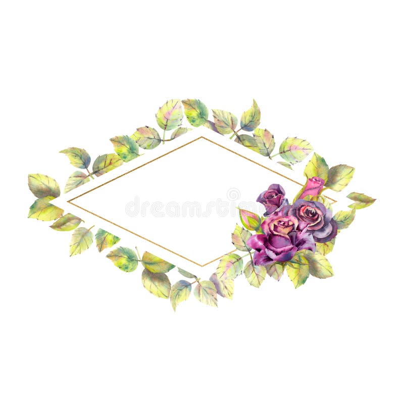 Blumen von dunklen Rosen, gr?ne Bl?tter, die Zusammensetzung in einem geometrischen Goldrahmen Das Konzept der Heiratsblumen lizenzfreie abbildung Blumen von dunklen Rosen, gr?ne Bl?tter, die Zusammensetzung in einem geometrischen Goldrahmen Das Konzept der Heiratsblumen lizenzfreie abbildung