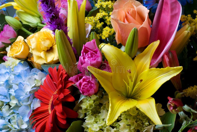 Blumenanordnung lizenzfreie stockfotos Blumenanordnung lizenzfreie stockfotos