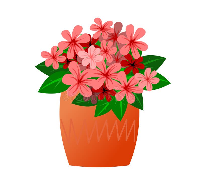 Blumenbepflanzungen und Blumen. in Keramiktöpfen. hausgemachte schöne Kräuter. isoliert auf weißem Hintergrund. Cartoon stock abbildung