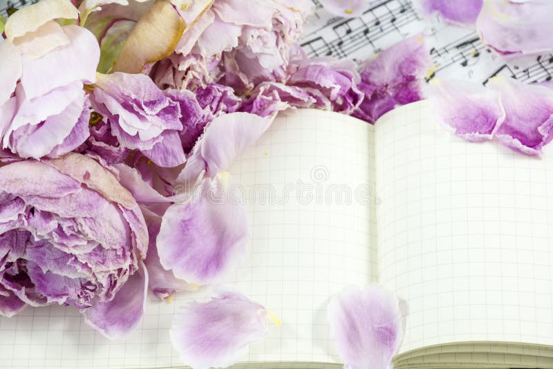 Blumenblätter von Rosa verwelkten Pfingstrosen sind auf dem Notizbuch mit Anmerkungen stockbilder Blumenblätter von Rosa verwelkten Pfingstrosen sind auf dem Notizbuch mit Anmerkungen stockbilder