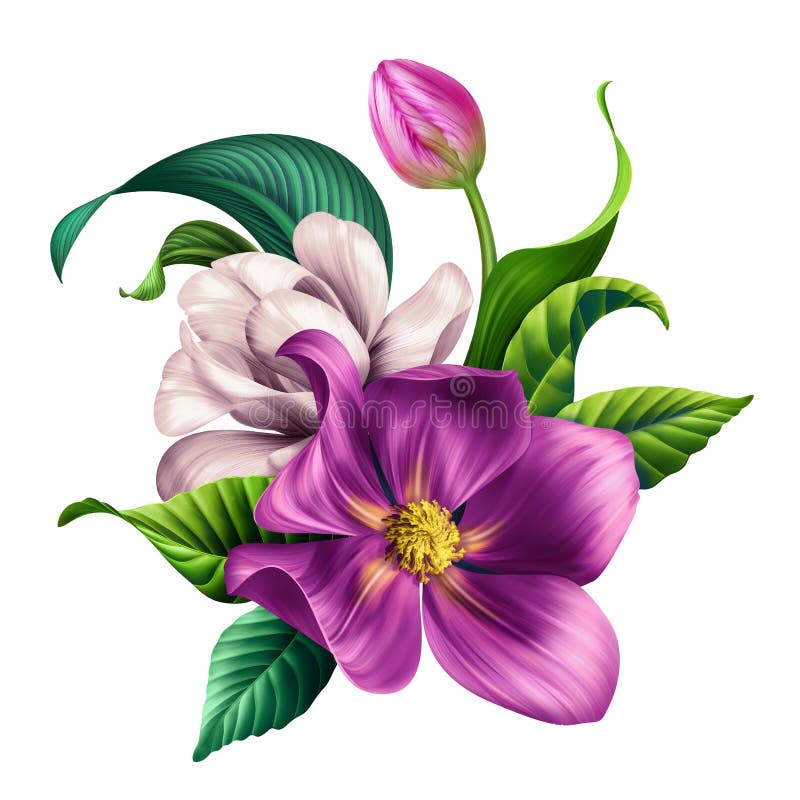 Blumenclipart der Botanischen Blumenblumenstrauß-Anordnung der Abbildung schönen tropischen isoliert auf weißem Hintergrund stock abbildung
