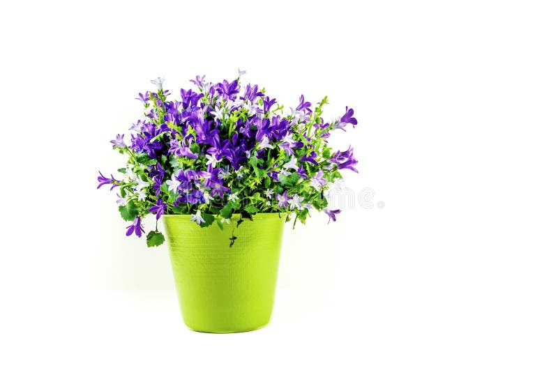 Blumengesteck im grünen Vase lokalisiert auf weißem Hintergrund - stockfotos Blumengesteck im grünen Vase lokalisiert auf weißem Hintergrund - stockfotos