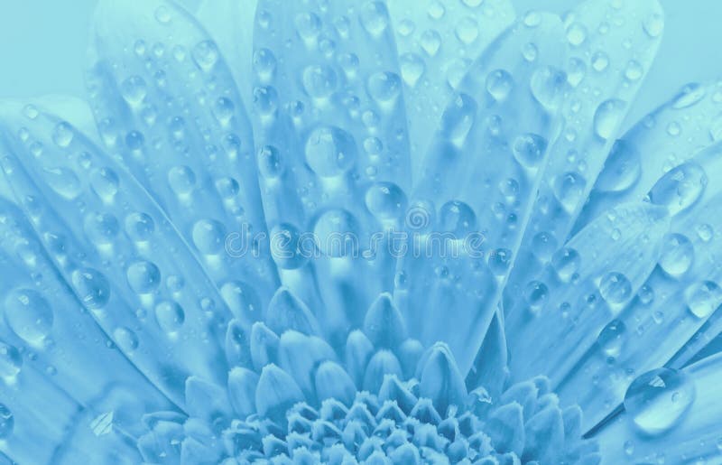Blumenhintergrund des blauen Wassers stockfotografie