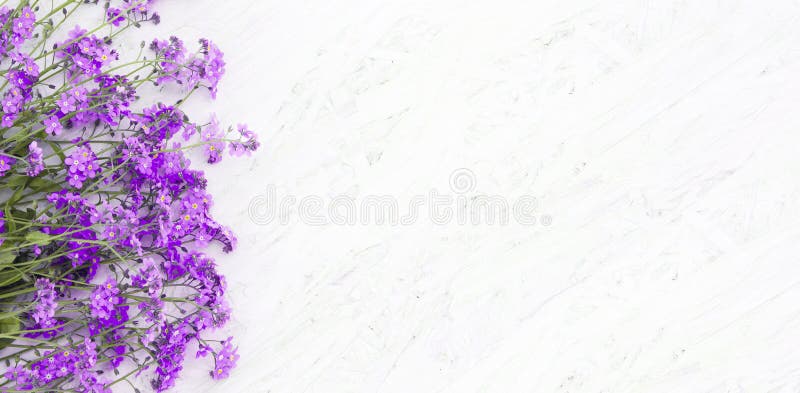 Blumenhintergrund des schönen Frühlinges stockfoto Blumenhintergrund des schönen Frühlinges stockfoto