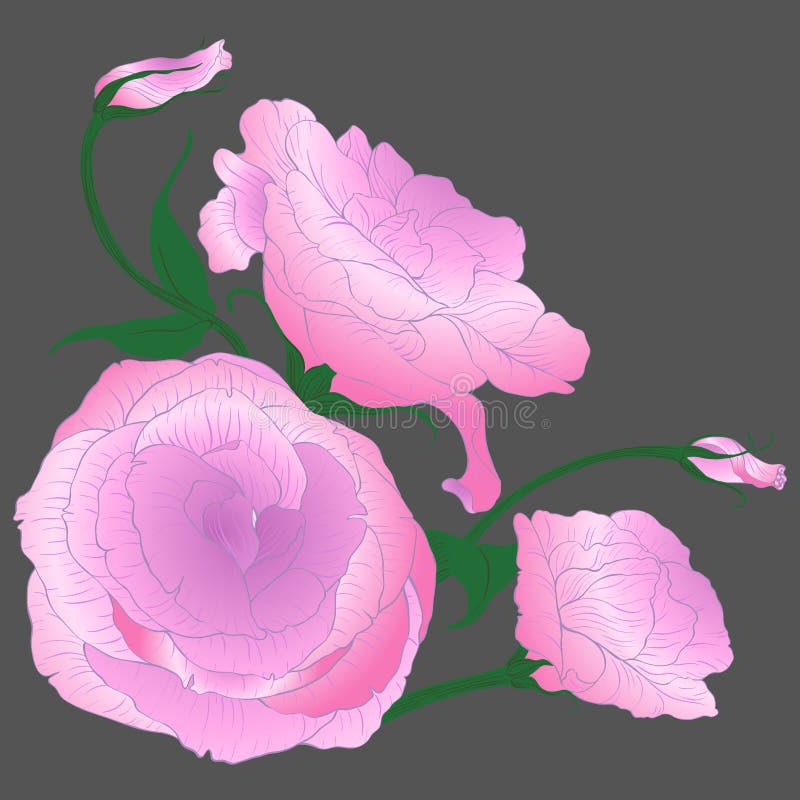 Blumenhintergrund mit Gras Eustoma - Blumen und Knospen Dekorative Zusammensetzung - ein Blumenstrauß von Blumen vektor abbildung