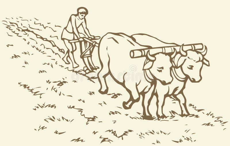 Vector picture. Primitive agriculture ancient Asian and African world: Egypt, Assyria, Babylon, India, China. Young servant on a pair of oxen-drawn plow grassy virgin soil for sowing wheat seeds. Vector picture. Primitive agriculture ancient Asian and African world: Egypt, Assyria, Babylon, India, China. Young servant on a pair of oxen-drawn plow grassy virgin soil for sowing wheat seeds