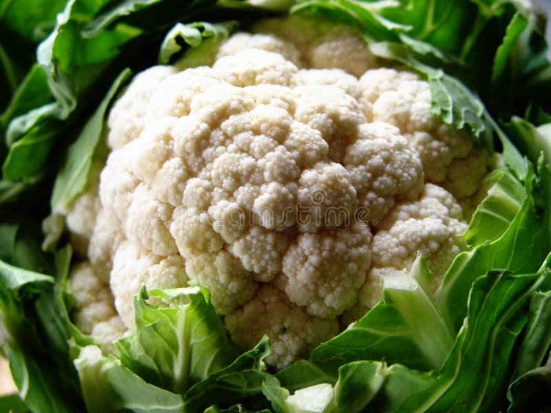 Blumenkohl lizenzfreies stockbild