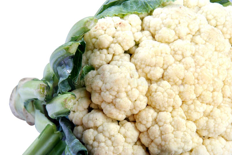 Blumenkohl, Der Im Garten Wächst Stockbild Bild von essen, gesund