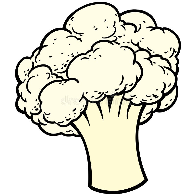 blumenkohl stock abbildung blumenkohl stock abbildung