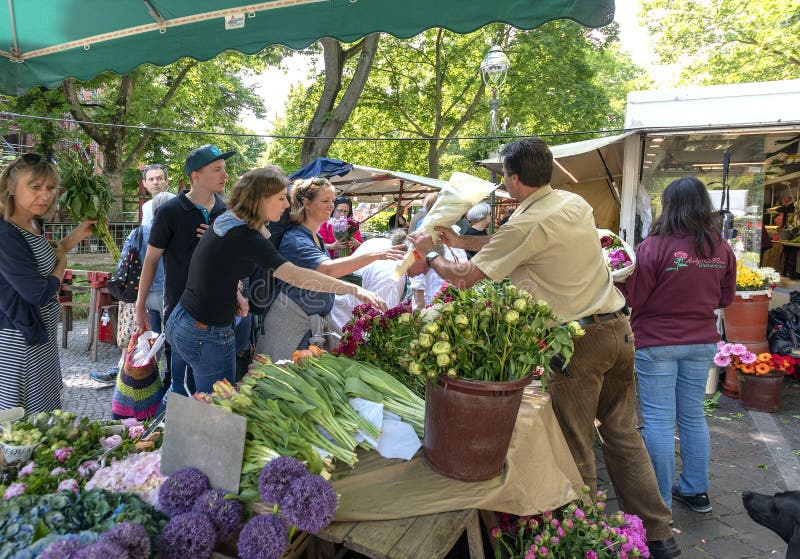 Blumenmann 19-5-2018 Berlin Germanys A in seinem Stall auf dem Markt verkauft seine Blumen an seine Kunden, an einem sonnigen war lizenzfreie stockfotografie Blumenmann 19-5-2018 Berlin Germanys A in seinem Stall auf dem Markt verkauft seine Blumen an seine Kunden, an einem sonnigen war lizenzfreie stockfotografie