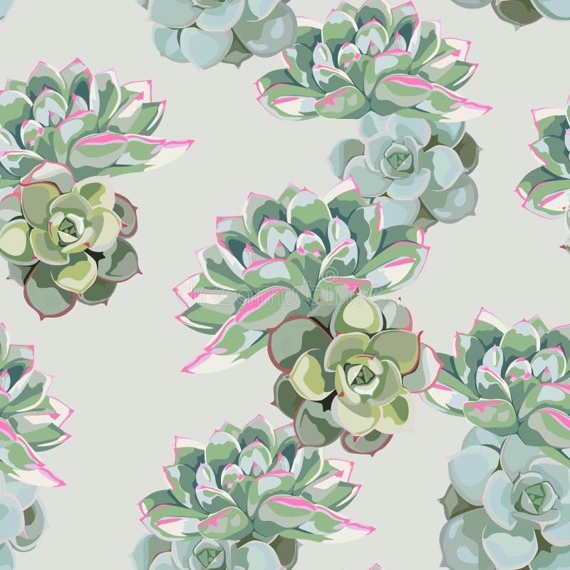 Blumenmuster, empfindliche Blumentapete, grüner rosa Succulent Empfindliches weibliches Muster lizenzfreie abbildung Blumenmuster, empfindliche Blumentapete, grüner rosa Succulent Empfindliches weibliches Muster lizenzfreie abbildung