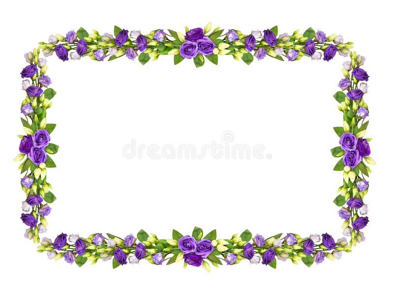 Blumenrahmen mit purpurroten Eustomablumen lizenzfreie abbildung
