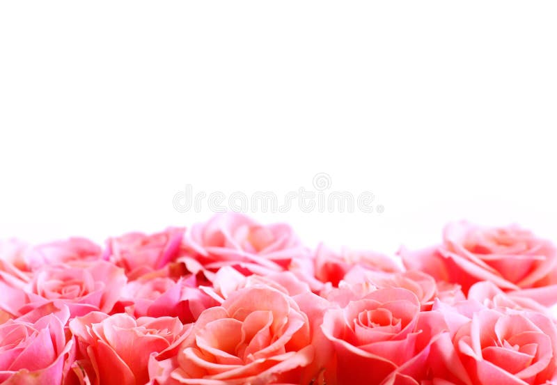 Blumenrand lizenzfreie stockfotos
