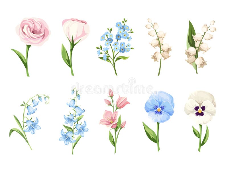 BlumenSatz pansy forgetmenot lisianthus lilyofthetal isoliert auf Weiß. Vektorgrafik vektor abbildung