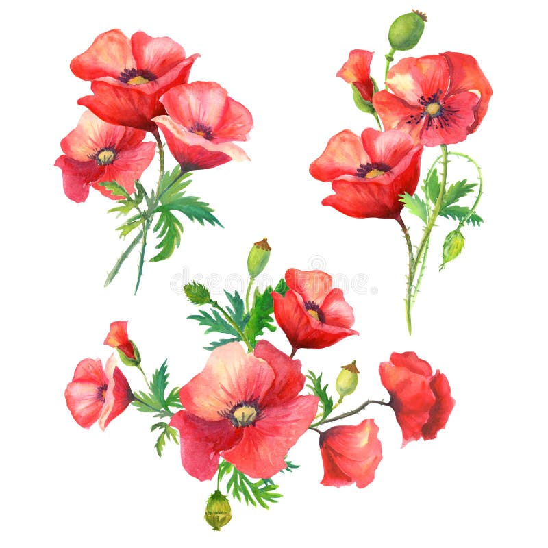 Blumenstrauß-Aquarellblumen stock abbildung Blumenstrauß-Aquarellblumen stock abbildung