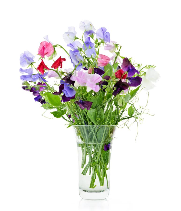 Blumenstrauß der Blumen der süßen Erbse im Vase lizenzfreie stockfotografie