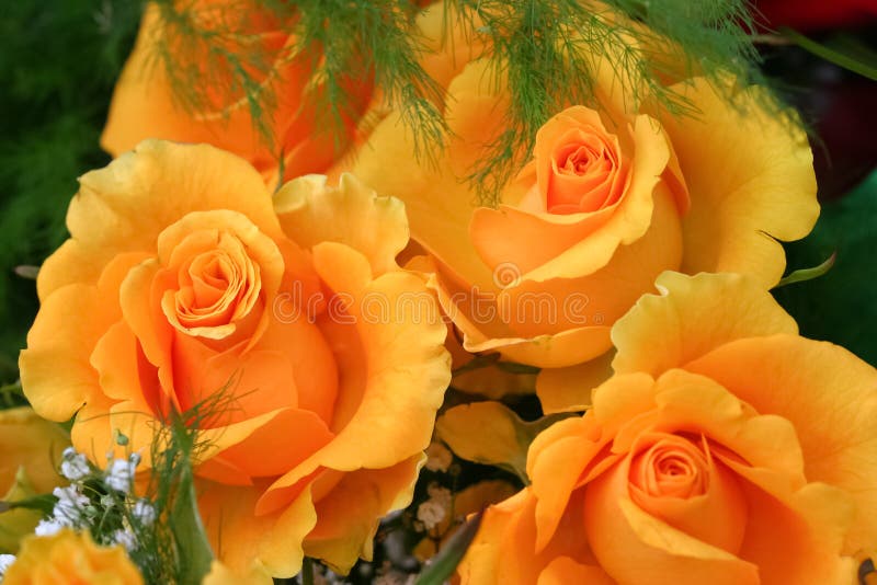 Blumenstrauß der gelben Rosen
