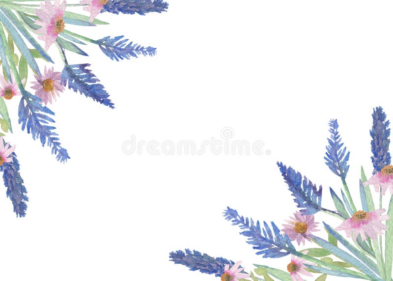 Blumenstrauß des Lavendels und der Echinaceablumen Aquarellsatz blaue und rosa Blumen lokalisiert auf weißem Hintergrund, schöner vektor abbildung Blumenstrauß des Lavendels und der Echinaceablumen Aquarellsatz blaue und rosa Blumen lokalisiert auf weißem Hintergrund, schöner vektor abbildung