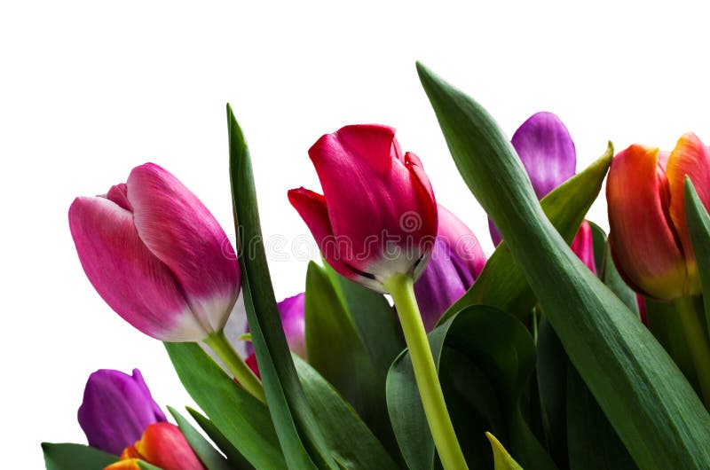 Blumenstrauß mit bunten Tulpen