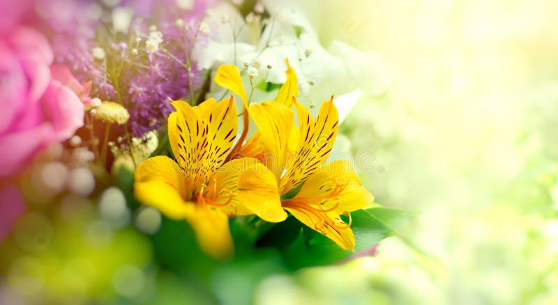 Blumenstrauß von Blumen, schöne Blume - Blumengesteck