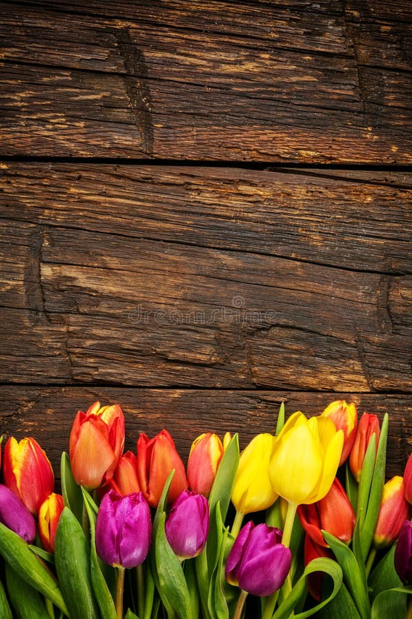 Blumenstrauß von bunten Tulpen auf rustikalen hölzernen Planken lizenzfreies stockfoto Blumenstrauß von bunten Tulpen auf rustikalen hölzernen Planken lizenzfreies stockfoto