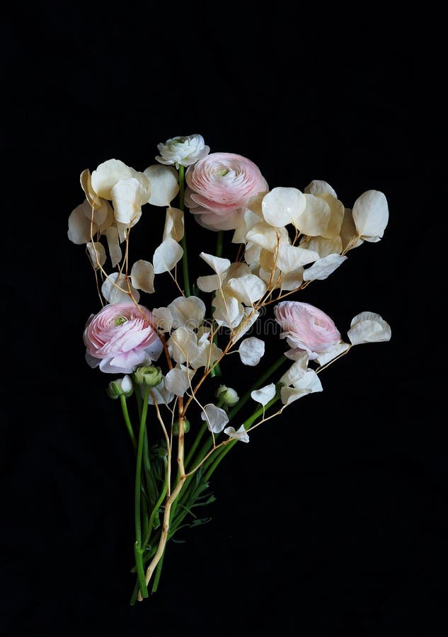 Blumenstrauß von schönem erblassen - rosa Ranunculusblumen und getrocknete Eukalyptusniederlassungen auf einem dunklen Hintergrun lizenzfreie stockbilder Blumenstrauß von schönem erblassen - rosa Ranunculusblumen und getrocknete Eukalyptusniederlassungen auf einem dunklen Hintergrun lizenzfreie stockbilder