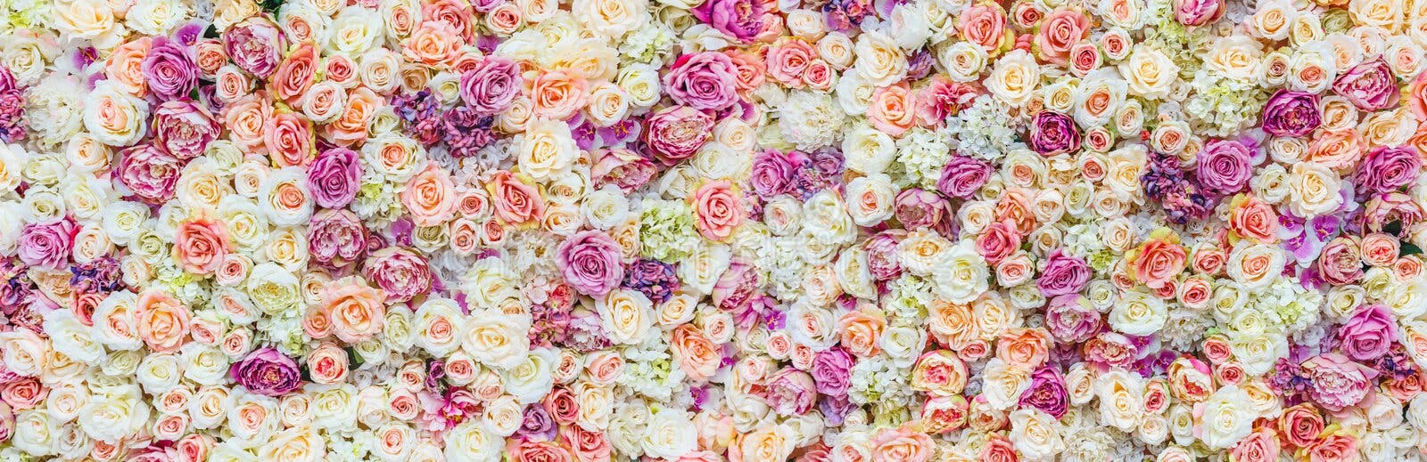Blumenwandhintergrund mit dem Überraschen von roten und weißen Rosen, Heiratsdekoration, handgemacht Blumenwandhintergrund mit dem Überraschen von roten und weißen Rosen, Heiratsdekoration, handgemacht