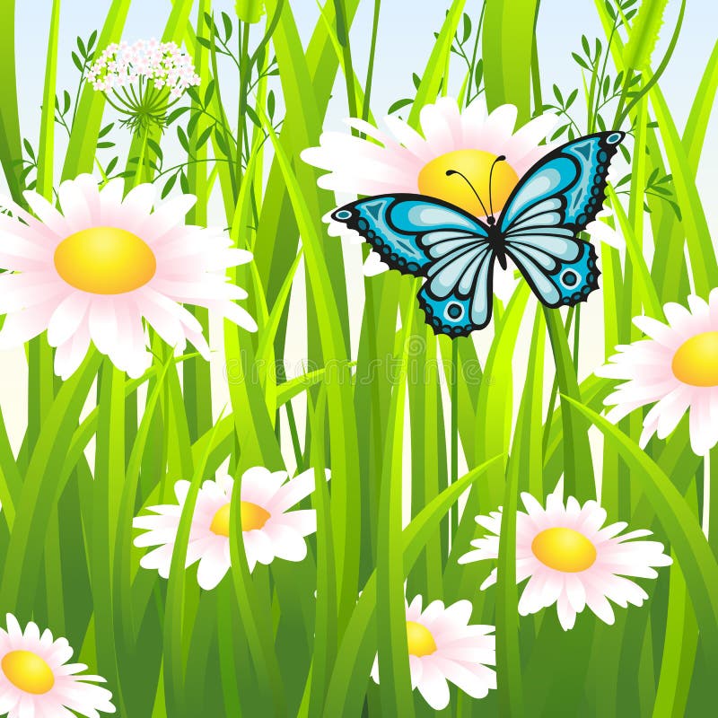 Blumenwiese Im Sommer Stock Illustrationen Vektoren Kliparts 79 Stock Illustrationen