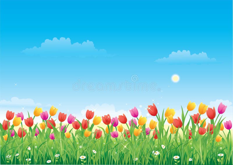 Blumenwiese Tulpen Vektor Abbildung Illustration Von Tulpen